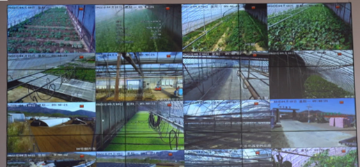 農業農村局打造區域數字農業發展新模式 智能農業管理的創新實踐