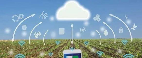 構(gòu)建新農(nóng)業(yè) 智能農(nóng)業(yè)管理的創(chuàng)新與實踐探索